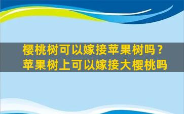 樱桃树可以嫁接苹果树吗？苹果树上可以嫁接大樱桃吗