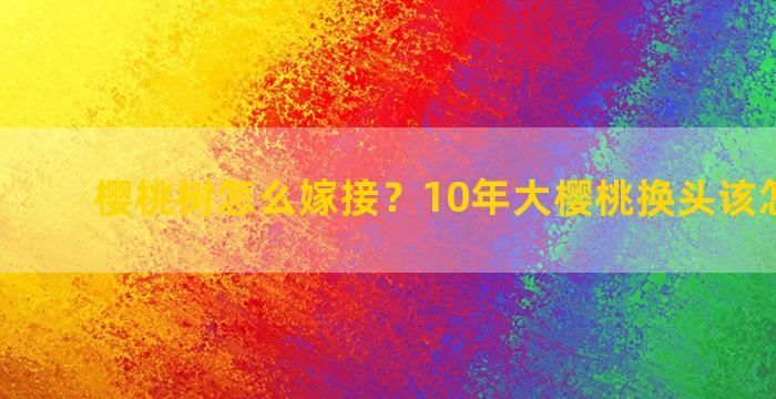 樱桃树怎么嫁接？10年大樱桃换头该怎么嫁接