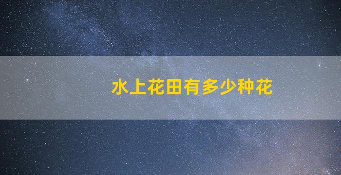 水上花田有多少种花