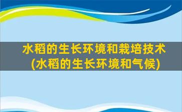 水稻的生长环境和栽培技术(水稻的生长环境和气候)