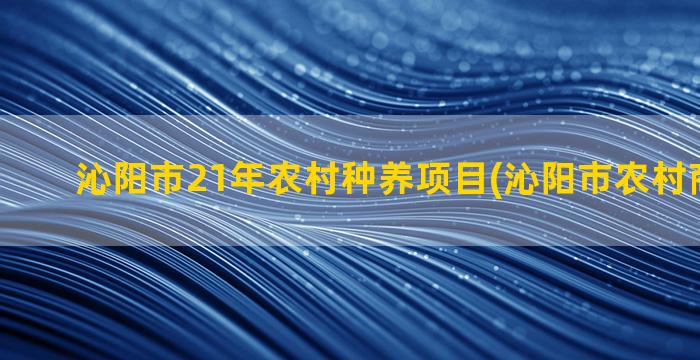 沁阳市21年农村种养项目(沁阳市农村商业银行)