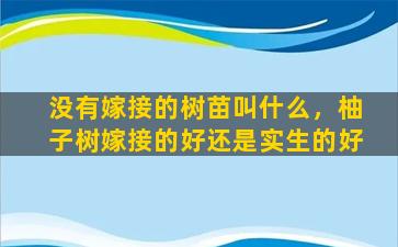 没有嫁接的树苗叫什么，柚子树嫁接的好还是实生的好