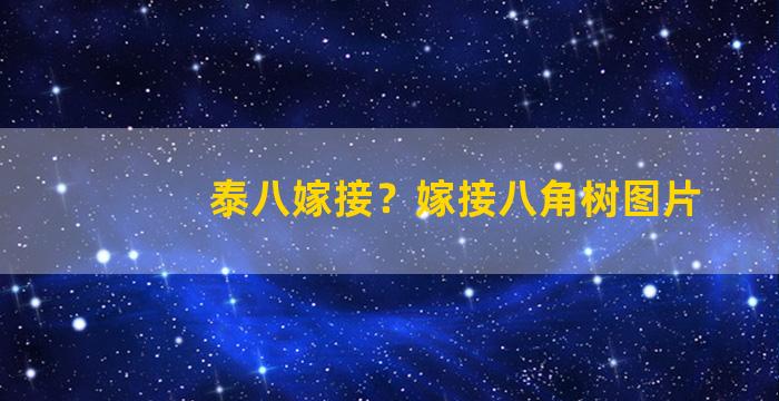 泰八嫁接？嫁接八角树图片