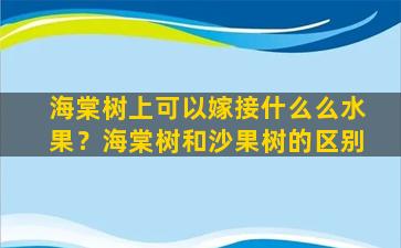 海棠树上可以嫁接什么么水果？海棠树和沙果树的区别