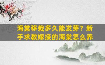 海棠移栽多久能发芽？新手求教嫁接的海棠怎么养