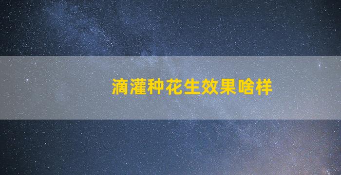 滴灌种花生效果啥样