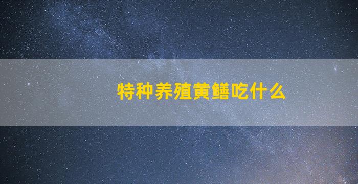 特种养殖黄鳝吃什么