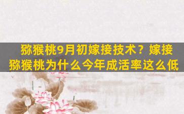 猕猴桃9月初嫁接技术？嫁接猕猴桃为什么今年成活率这么低