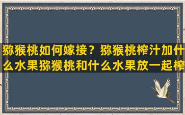 猕猴桃如何嫁接？猕猴桃榨汁加什么水果猕猴桃和什么水果放一起榨汁好