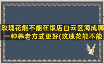 玫瑰花能不能在饭店白云区海成哪一种养老方式更好(玫瑰花能不能养在家里)