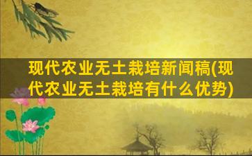 现代农业无土栽培新闻稿(现代农业无土栽培有什么优势)