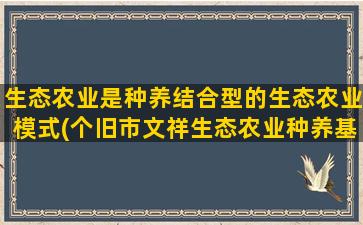 生态农业是种养结合型的生态农业模式(个旧市文祥生态农业种养基地)