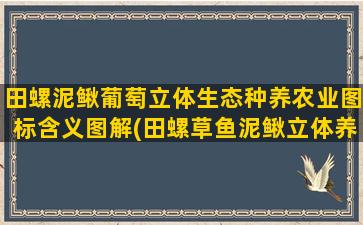 田螺泥鳅葡萄立体生态种养农业图标含义图解(田螺草鱼泥鳅立体养殖技术)