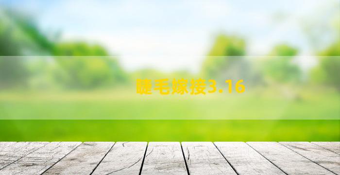 睫毛嫁接3.16