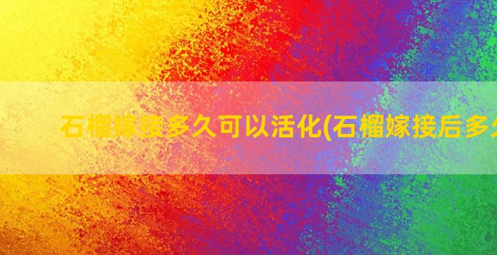 石榴嫁接多久可以活化(石榴嫁接后多久成活)