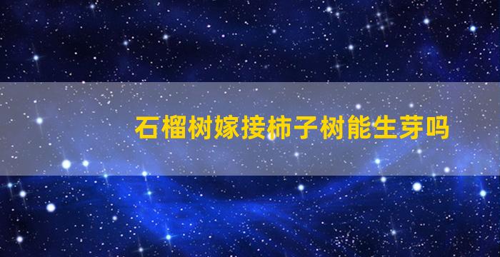 石榴树嫁接柿子树能生芽吗