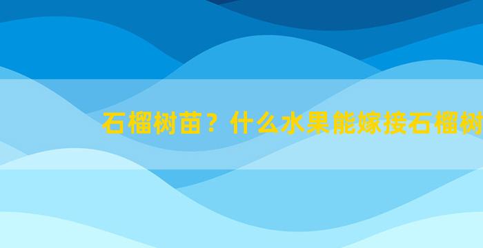 石榴树苗？什么水果能嫁接石榴树