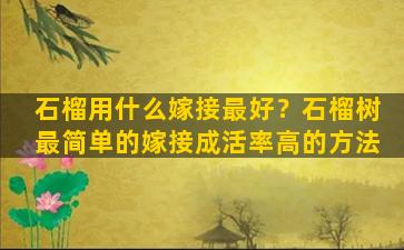 石榴用什么嫁接最好？石榴树最简单的嫁接成活率高的方法