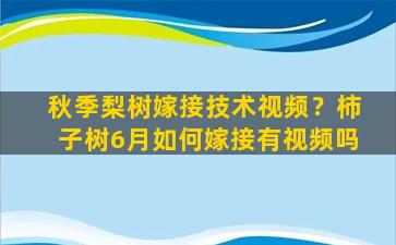 秋季梨树嫁接技术视频？柿子树6月如何嫁接有视频吗