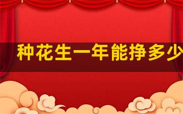 种花生一年能挣多少油价