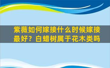 紫薇如何嫁接什么时候嫁接最好？白蜡树属于花木类吗