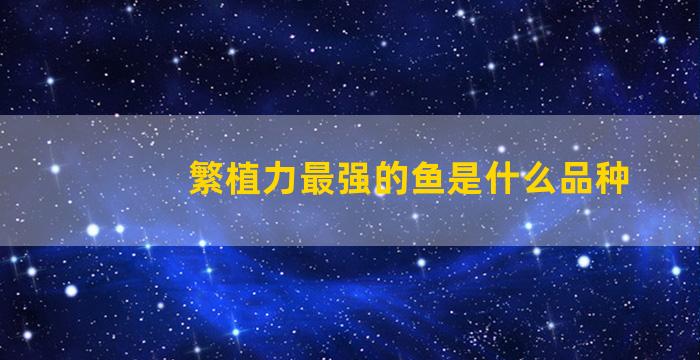 繁植力最强的鱼是什么品种