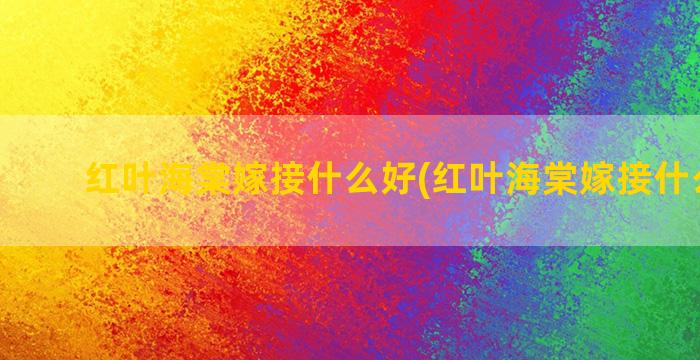 红叶海棠嫁接什么好(红叶海棠嫁接什么好看)