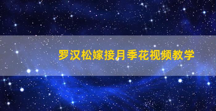 罗汉松嫁接月季花视频教学