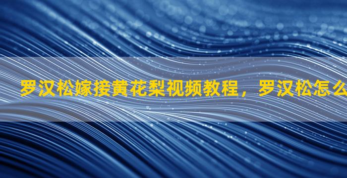 罗汉松嫁接黄花梨视频教程，罗汉松怎么嫁接法视频