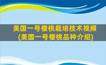 美国一号樱桃栽培技术视频(美国一号樱桃品种介绍)