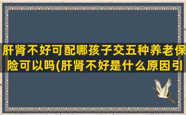 肝肾不好可配哪孩子交五种养老保险可以吗(肝肾不好是什么原因引起的)