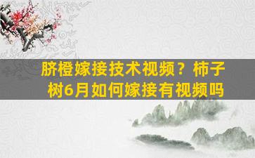 脐橙嫁接技术视频？柿子树6月如何嫁接有视频吗