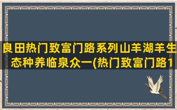 良田热门致富门路系列山羊湖羊生态种养临泉众一(热门致富门路100条)