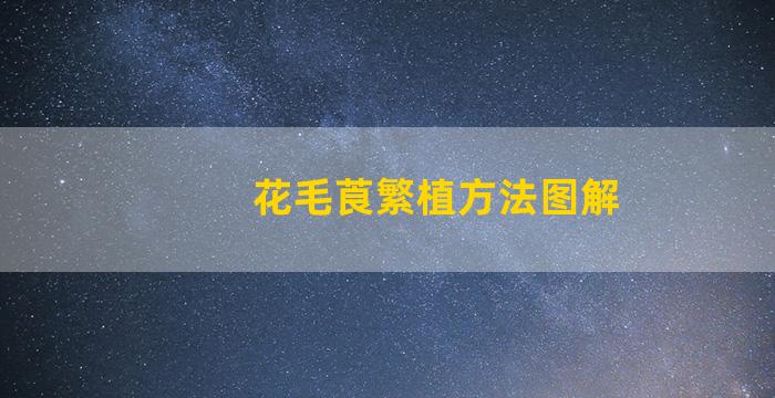 花毛莨繁植方法图解