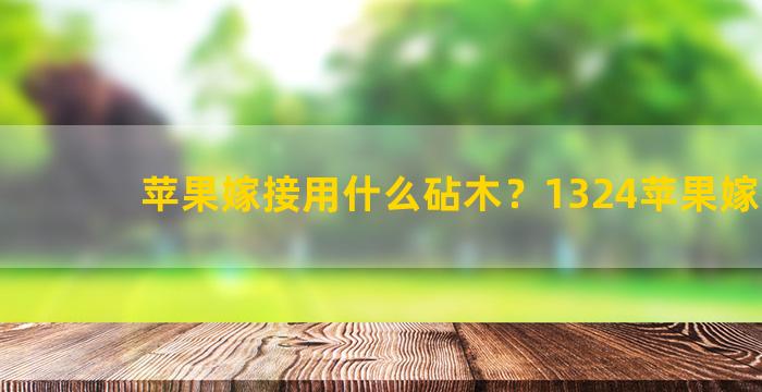 苹果嫁接用什么砧木？1324苹果嫁接后