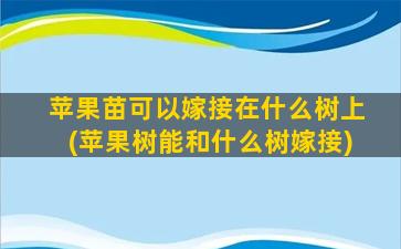 苹果苗可以嫁接在什么树上(苹果树能和什么树嫁接)