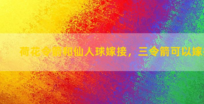 荷花令箭和仙人球嫁接，三令箭可以嫁接蟹爪兰