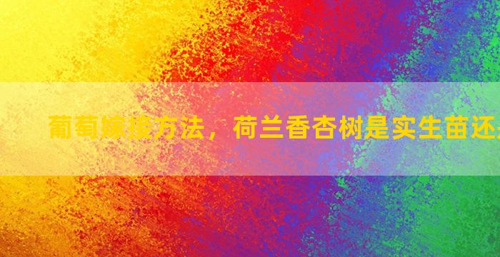 葡萄嫁接方法，荷兰香杏树是实生苗还是嫁接苗