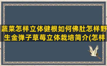 蔬菜怎样立体健根如何佛肚怎样野生金弹子草莓立体栽培简介(怎样用卡纸做立体蔬菜)