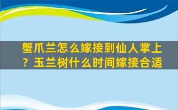 蟹爪兰怎么嫁接到仙人掌上？玉兰树什么时间嫁接合适