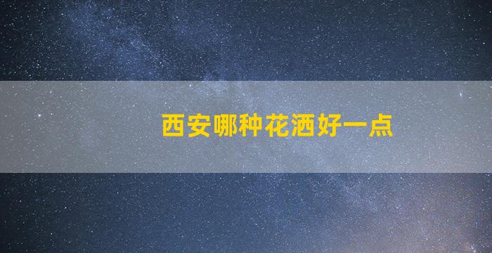 西安哪种花洒好一点