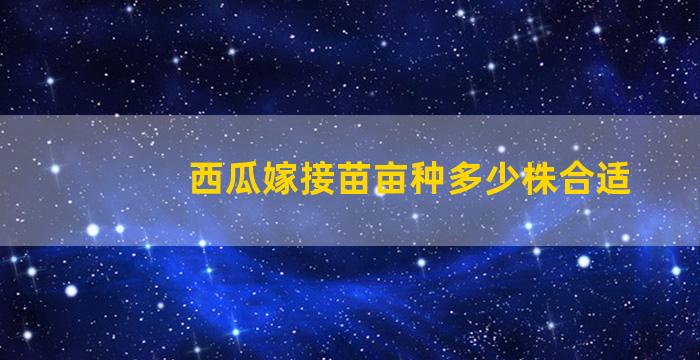 西瓜嫁接苗亩种多少株合适