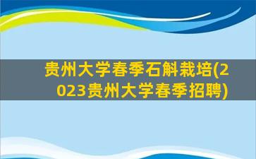 贵州大学春季石斛栽培(2023贵州大学春季招聘)