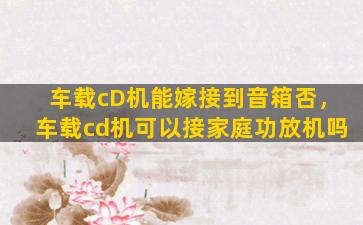 车载cD机能嫁接到音箱否，车载cd机可以接家庭功放机吗