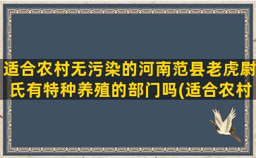 适合农村无污染的河南范县老虎尉氏有特种养殖的部门吗(适合农村的创业项目)