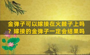 金弹子可以嫁接在火棘子上吗？嫁接的金弹子一定会结果吗