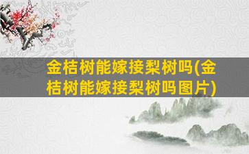 金桔树能嫁接梨树吗(金桔树能嫁接梨树吗图片)