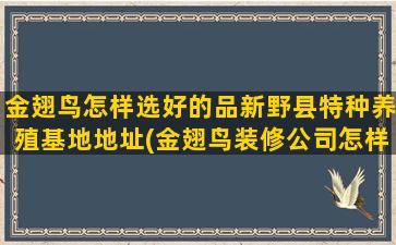 金翅鸟怎样选好的品新野县特种养殖基地地址(金翅鸟装修公司怎样)