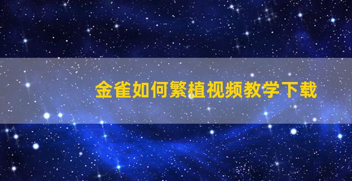 金雀如何繁植视频教学下载