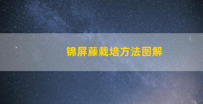 锦屏藤栽培方法图解